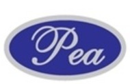 PARAMOUNT EXPRESS AGENCIES SDN BHD logo